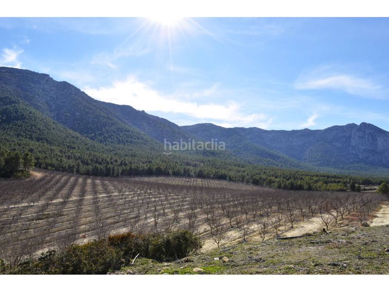 Foto d6ba6778-07ca-45f0-8747-a94abdb78185. Finca rústica a Mula