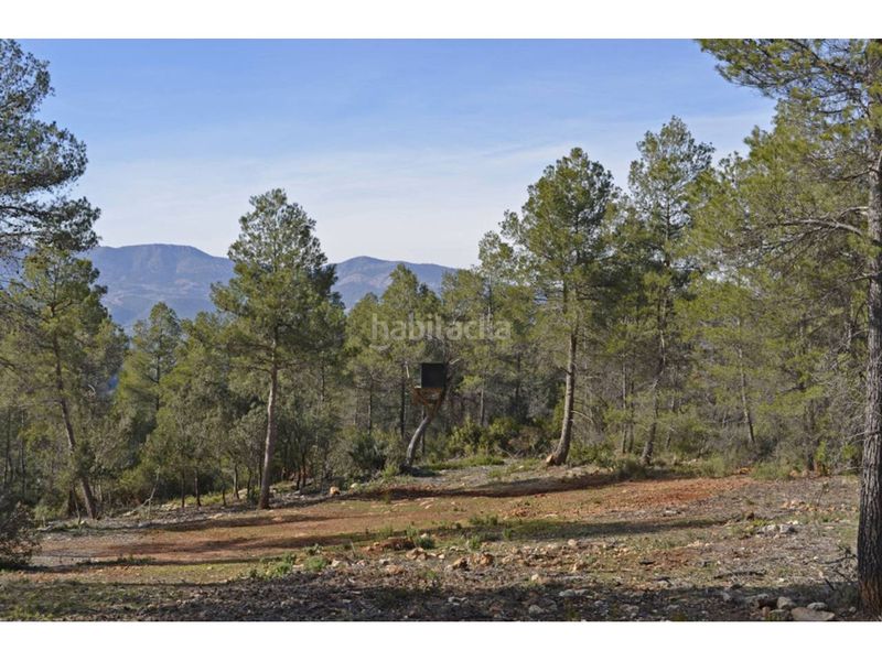 Foto d9b1095c-754b-4710-8afa-ac9e1f639593. Finca rústica a Mula