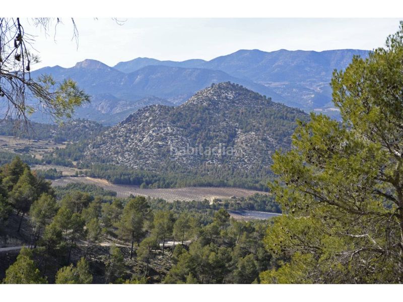 Foto df052ce7-287f-4726-b362-6bc2c02339b1. Finca rústica a Mula