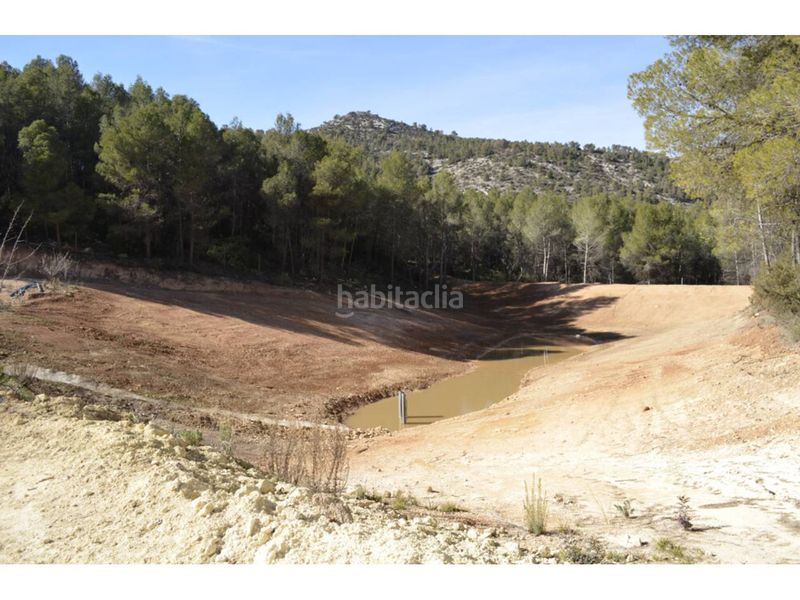 Foto e3cda45d-ca4a-43e8-bb71-dfac5c1186d8. Finca rústica a Mula