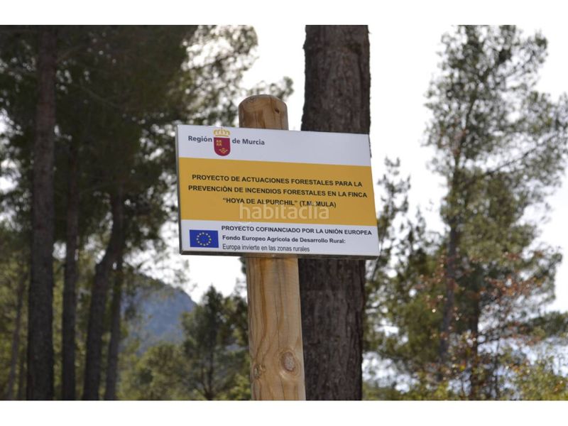 Foto e89e024d-a4e6-415a-b608-c358f55b9356. Finca rústica a Mula