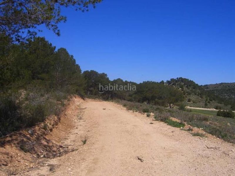 Foto 385823da-fcb8-44c5-8708-4d7ba53f6c19. Finca rústica a Zarcilla de Ramos Lorca