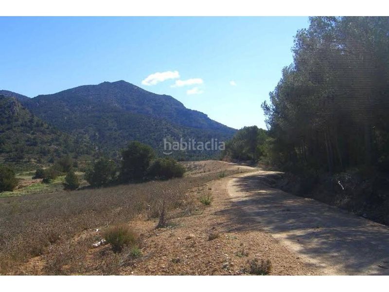 Foto 4b89c64a-4b65-46e0-afdc-1d5caf1f85bf. Finca rústica a Zarcilla de Ramos Lorca