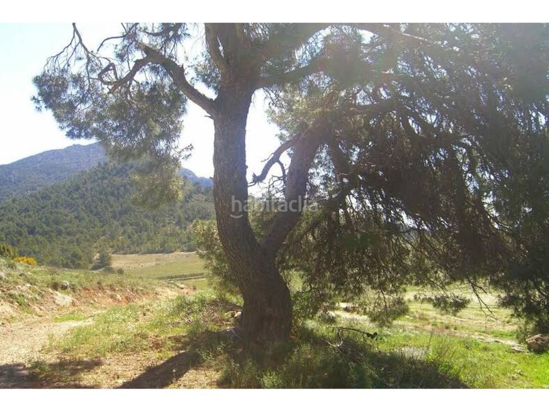 Foto 82867f22-3e03-41ce-9408-e70a0e133798. Finca rústica a Zarcilla de Ramos Lorca