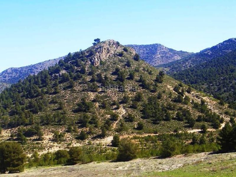 Foto 874438f5-24d2-4b38-9b63-9ee97413335f. Finca rústica a Zarcilla de Ramos Lorca