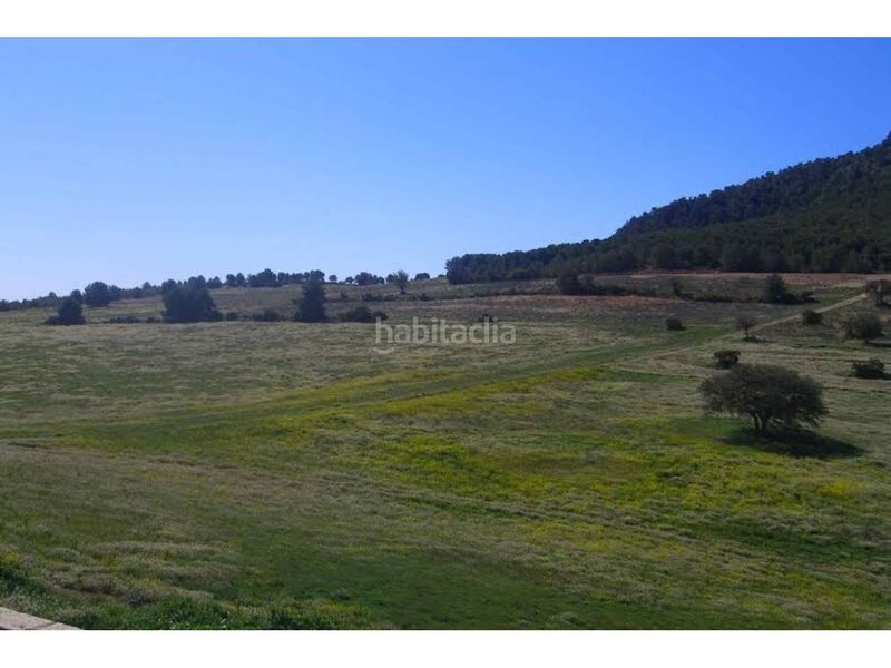 Foto 8b2143c9-02d8-407e-9923-e0985e80f289. Finca rústica a Zarcilla de Ramos Lorca