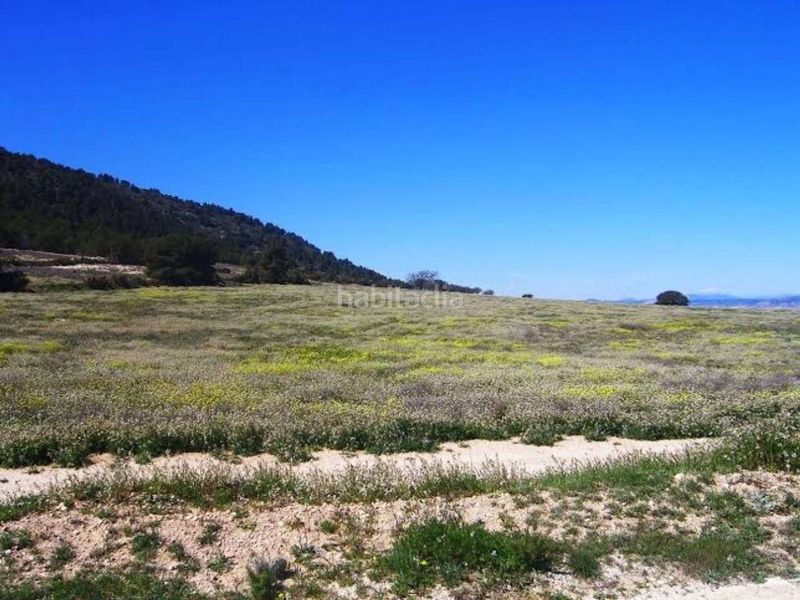 Foto a246529f-8f7d-40f8-a3c9-b7176ca6ea02. Finca rústica a Zarcilla de Ramos Lorca