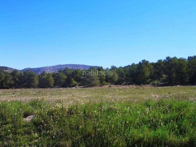 Foto a39f66a9-4b95-4746-902c-06757686f388. Finca rústica a Zarcilla de Ramos Lorca