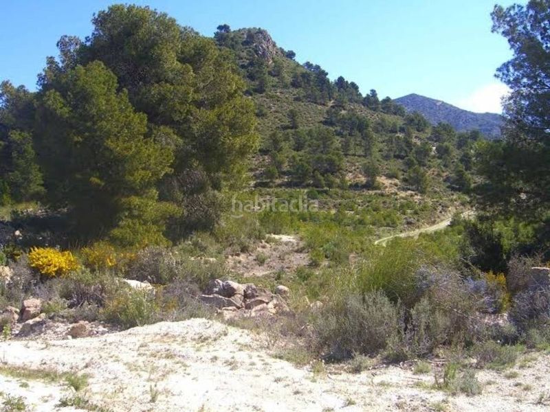 Foto b4a9635d-4ac0-4e9e-b81b-97c2c1ad29bf. Finca rústica a Zarcilla de Ramos Lorca