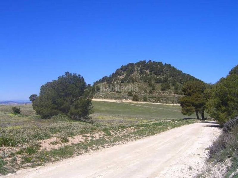 Foto c98cdb65-8c25-4729-acb3-f7bd2eab84a7. Finca rústica a Zarcilla de Ramos Lorca