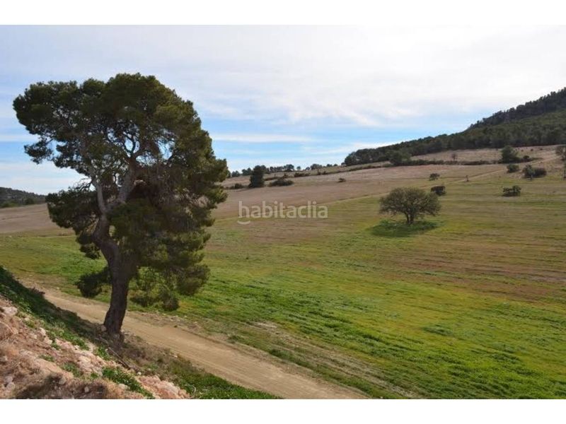 Foto ca9a0bcd-c50d-4264-ae08-aec8c645c827. Finca rústica a Zarcilla de Ramos Lorca