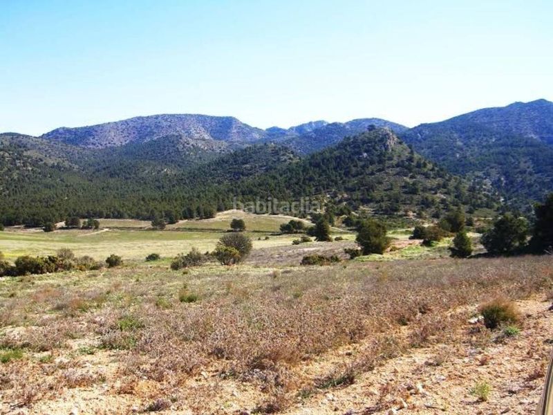 Foto ecb90272-e281-4895-8ba8-da98e099471b. Finca rústica a Zarcilla de Ramos Lorca