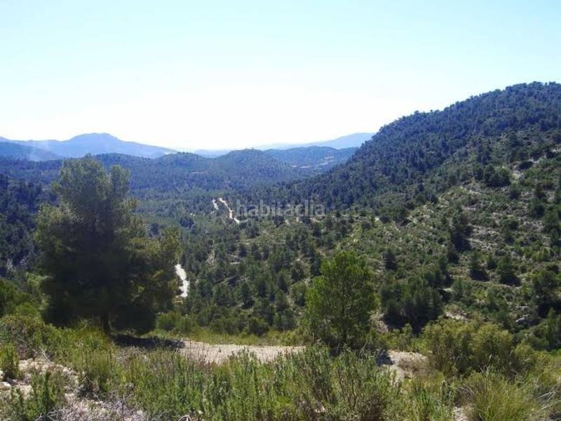 Foto ef0ef6b0-4683-4928-8b7d-b3f65f9f736d. Finca rústica a Zarcilla de Ramos Lorca
