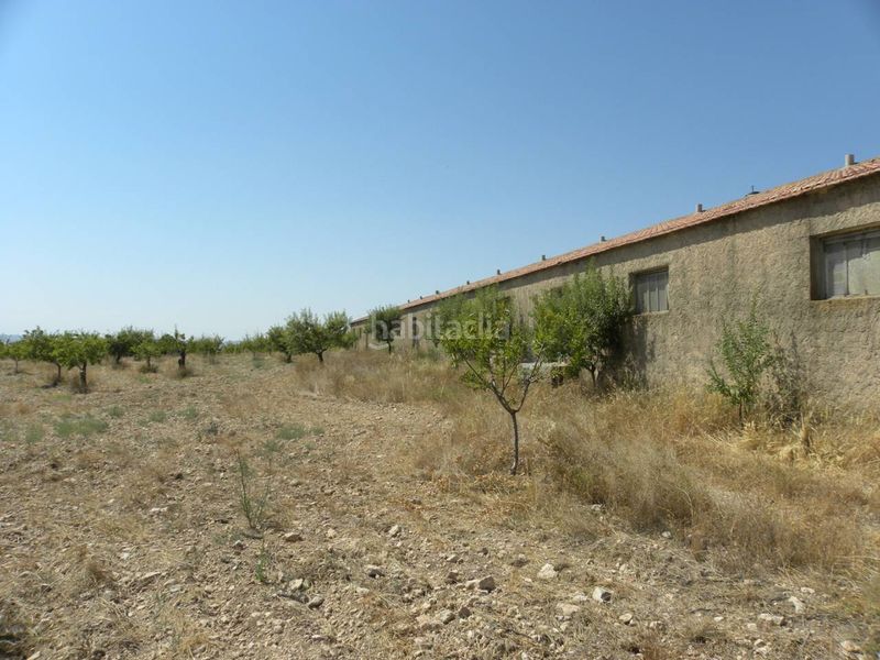 Foto 03da81f0-143a-4868-b926-80d8e2a1f4cf. Finca rústica a Caravaca de la Cruz