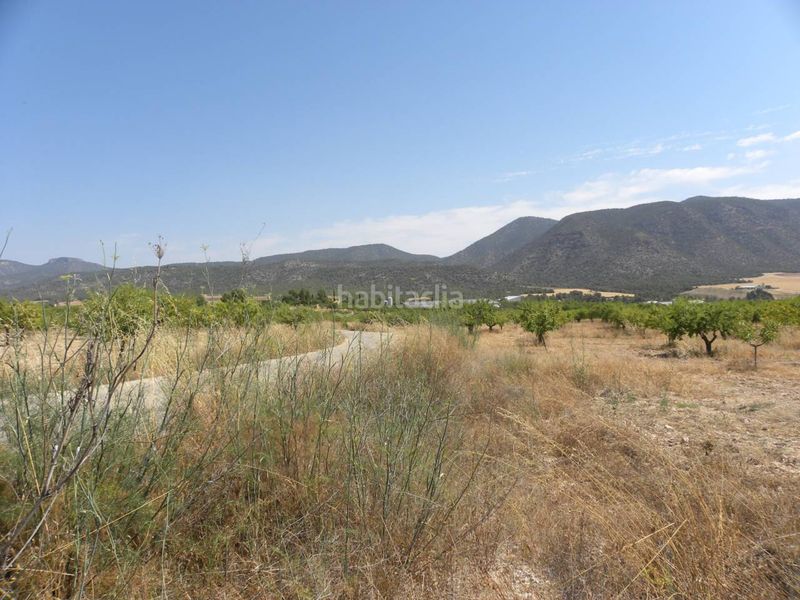 Foto 0dc3c968-d0ca-4e23-8b29-8e7145b5bb99. Finca rústica a Caravaca de la Cruz