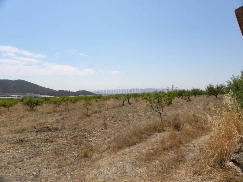 Foto d2d51544-a91a-4829-9481-2c5aa824a2e4. Finca rústica a Caravaca de la Cruz
