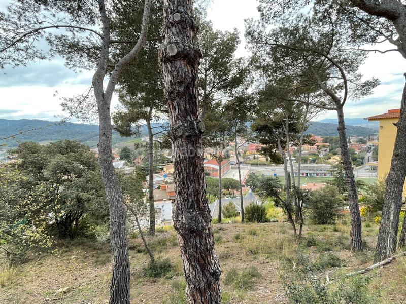 Foto 9e820ad1-399f-4c9b-b3ad-8b5c917b281f. Residential plot in Martorelles