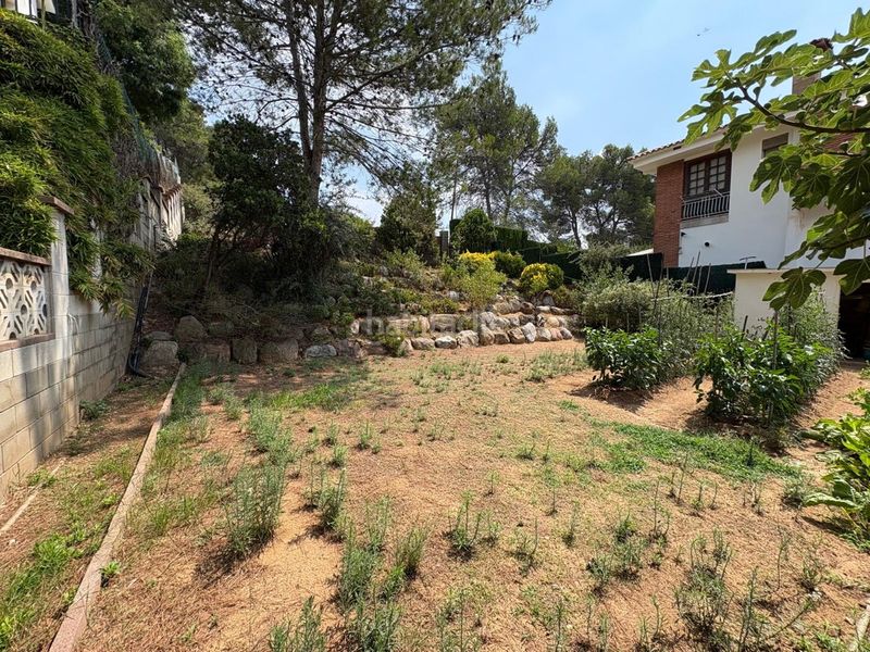 Foto 87ea52bd-4ad8-4815-93ff-714ca071f1be. Terreny residencial a Martorelles