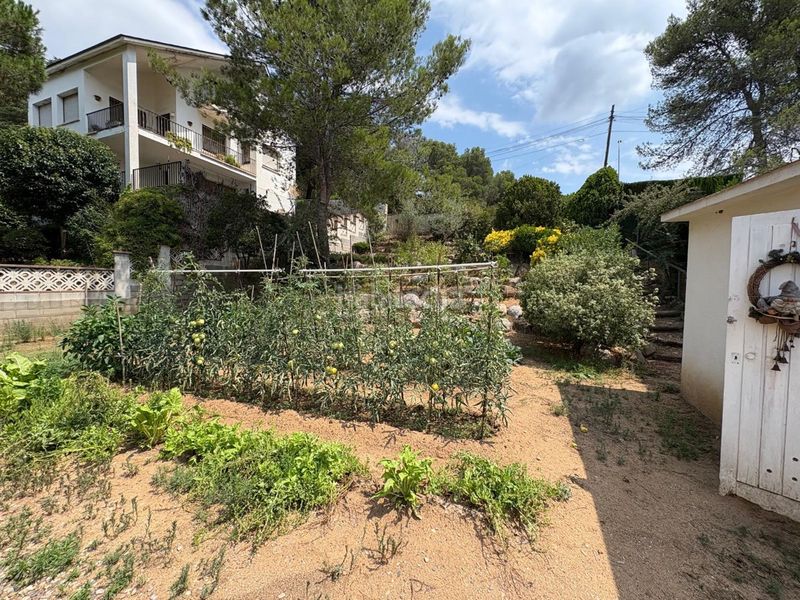 Foto d40c15af-a6d3-4bd9-a0f4-bb20be954f43. Terreny residencial a Martorelles