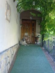 Xalet a Millena
