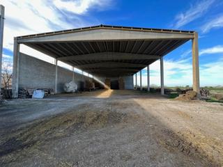 Rent Business premise in Montmaneu. Cobert en lloguer