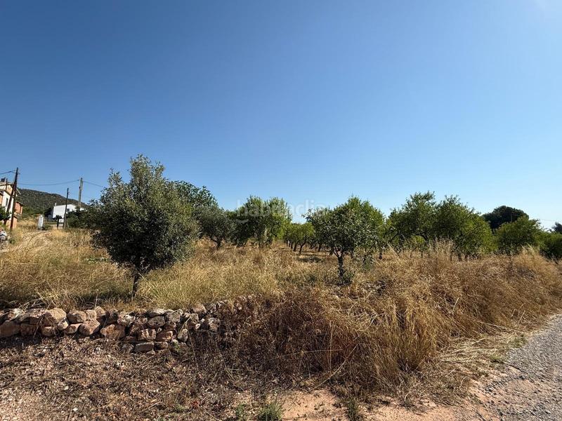 Foto 71b98133-7f0c-48f4-a05e-bc033da060e9. Casa finca rústica !!! en Òdena