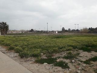 Terreny residencial a Avenida riu serpis 16. Magnífico solar situado próximo al mar. construirte tu casa no c