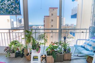 Appartement à Playa de Gandía. Apartamento en playa de gandia