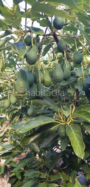 Foto 59b4ecf2-0496-4fd1-ac9c-9f7a1b00fa9b. Chalet with parking in Barx