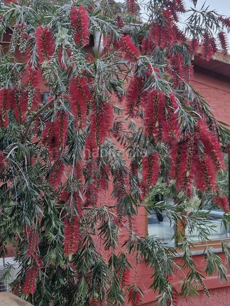 Foto 7f4ab79e-d168-445b-bef0-880b6c946ce5. Chalet with parking in Barx