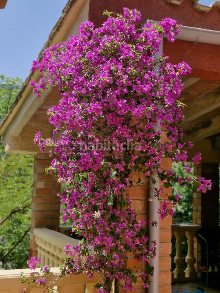 Foto c4279ae1-4c17-4613-a7e6-3d74b1e57b8f. Chalet with parking in Barx