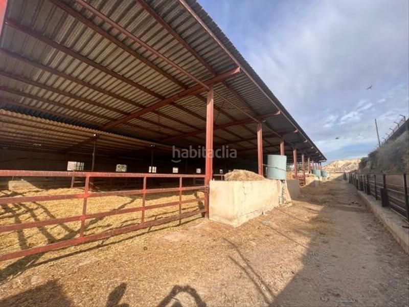 Foto 1a164b86-f637-4fd7-bfb1-152e145f60cf. Maison dans Fontcalent Alicante