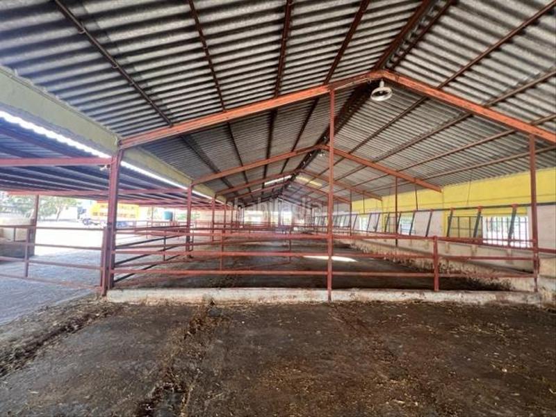 Foto 43e9f702-5758-4e7e-9c7c-f9b191c70255. Maison dans Fontcalent Alicante