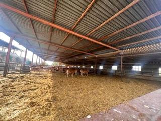 Maison à Fontcalent. Se vende exploatación ganadera