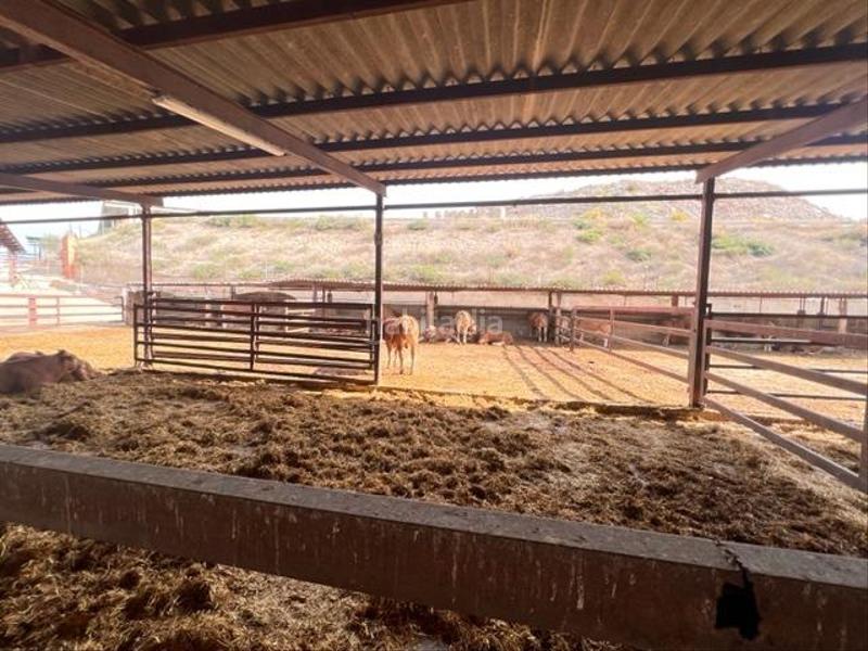 Foto b58329ba-851b-4a67-a5a1-859432fbe0b7. Maison dans Fontcalent Alicante