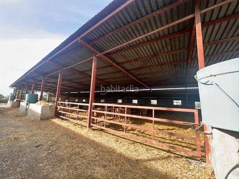 Foto c7594ace-3a99-4c23-bc7e-f5a721fc7590. Maison dans Fontcalent Alicante