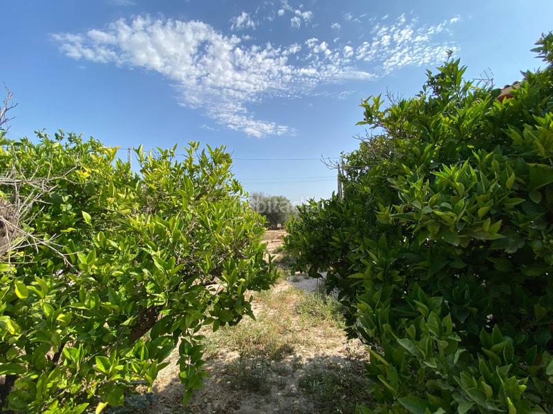 Foto 55e312fc-77d7-4e35-aca7-884458b46b2f. Chalet in Cañada del Fenollar Alicante