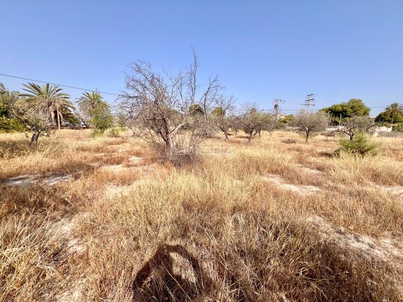 Foto 90962daa-4abb-448c-949a-ed3cb5151471. Chalet mit parking pool in Cañada del Fenollar Alicante