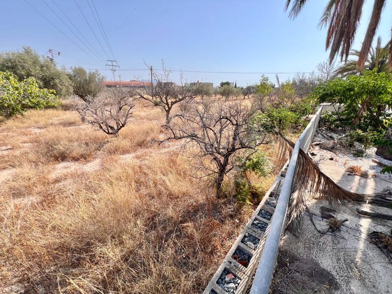 Foto c1865dd6-4317-4264-93a4-d029df57239a. Chalet mit parking pool in Cañada del Fenollar Alicante