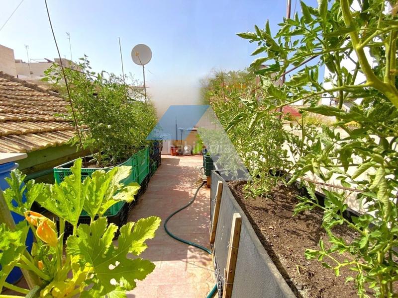 Foto 57e1e8c1-fd06-431d-89a8-a2863d40bd9e. Piano terra in Centro Sant Vicent del Raspeig