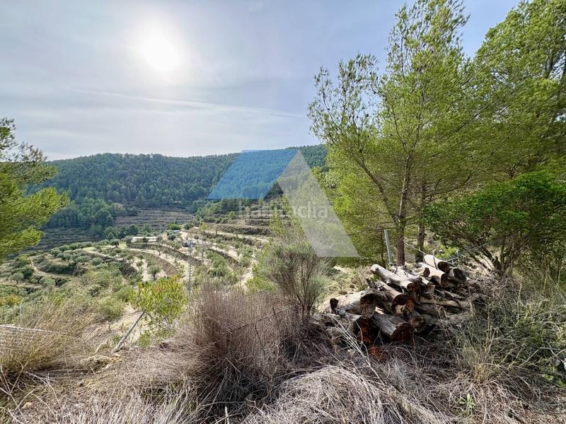 Foto 78218c90-8612-440e-8fde-741736a08473. Casa in Torre de les Maçanes (la)