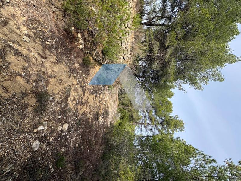 Foto 9000e2f7-9c34-466d-ad6b-3b0da408c939. Casa in Torre de les Maçanes (la)