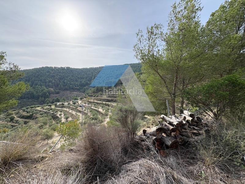 Foto e5262aac-13df-41eb-a3c8-d00d5bfa24e7. Casa in Torre de les Maçanes (la)