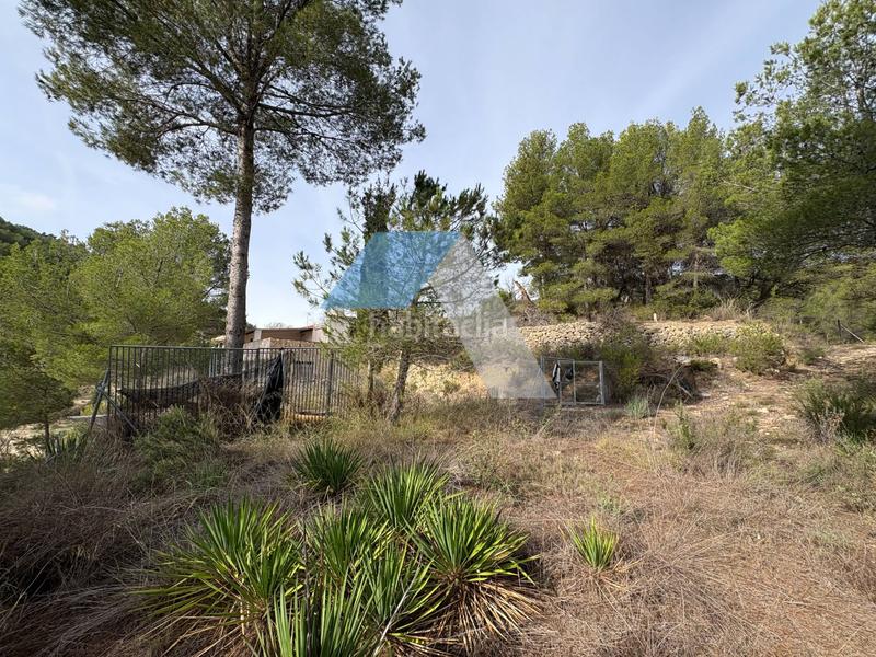 Foto ff5185a2-d1f7-4f47-a059-a18eafbb6ac3. Casa in Torre de les Maçanes (la)