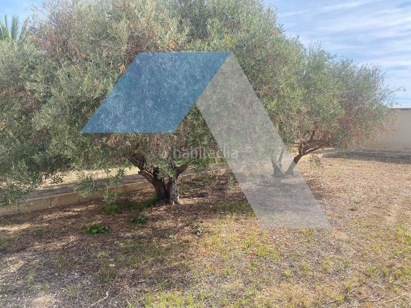 Foto 2640d2f4-3d96-422b-987e-501e557e6d9c. Xalet amb aparcament a Peña de las Águilas Elche / Elx