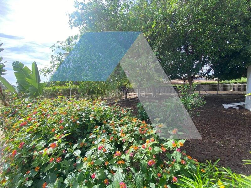 Foto aaa6068d-b7d8-488c-8d01-aeebc9fa10cc. Xalet amb aparcament a Peña de las Águilas Elche / Elx