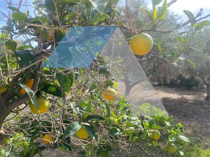 Foto b9927242-3453-4120-be4b-2c371d7e50ee. Xalet amb aparcament a Peña de las Águilas Elche / Elx