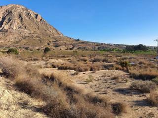Fondo rustico in Pla de la Vallonga. Parcela rustica en el rebolledo