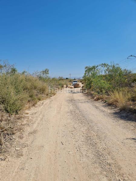 Foto e2849b5f-ca03-4f5e-be7f-97760e52b91e. Fondo rustico in Fontcalent Alicante