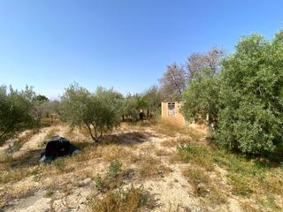 Fondo rustico in Cañada del Fenollar